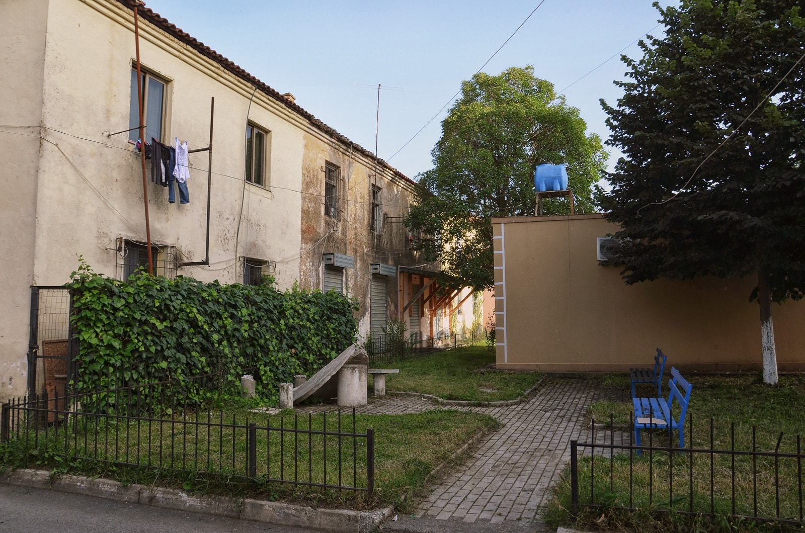 Mamurrasi, Albania